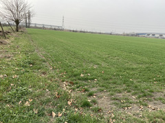 Rustico indip.  da ristrut. con 8.5 ettari di terreno a Baganzola
