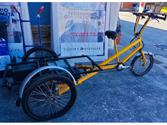 Bicicletta elettrica cargo