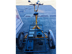 Bicicletta elettrica cargo