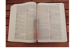 DIZIONARIO MEDICO ILLUSTRATO DORLAND, ASTRA Farmaceutica 1994