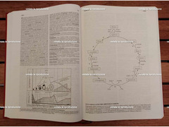 DIZIONARIO MEDICO ILLUSTRATO DORLAND, ASTRA Farmaceutica 1994