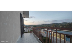 169 Velia