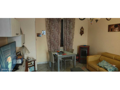 169 Velia