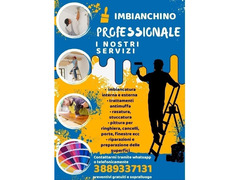 Imbianchino, muratore, indoratore