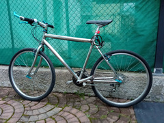 MTB 26"  colore  cromo