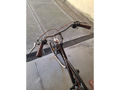 BICICLETTA DONNA