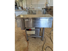 ESPOSITORE INOX PESCE FRESCO USATO