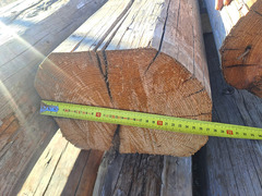 antiche travi legno stagionato