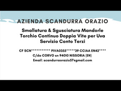 Sgusciatrice mandorle - marca modello 2r