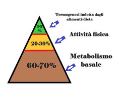 SALUTE E BENESSERE