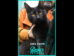 JOHN E WILL SMITH GATTI NERI