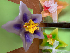 Candele galleggianti Orchidee