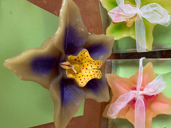 Candele galleggianti Orchidee