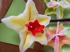 Candele galleggianti Orchidee