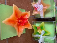 Candele galleggianti Orchidee