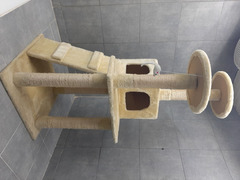 tiragraffi