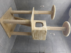 tiragraffi