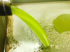Olio extravergine d'oliva