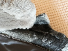 Cappotto 7/8 sette ottavi grigio in pelliccia autentica di Breitschwantz