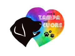 Cuccioli di Labrador Retriever neri di 2 mesi e mezzo