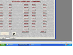 SOFTWARE GESTIONALE GESTIONE LAVANDERIA SU PEN DRIVE O PER EMAIL