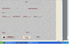 SOFTWARE GESTIONALE GESTIONE LAVANDERIA SU PEN DRIVE O PER EMAIL