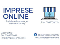 Web marketing e social media manager