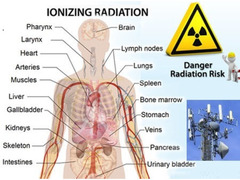 Regalati Salute. Protezione dalle Onde Elettromagnetiche per Te e Famiglia