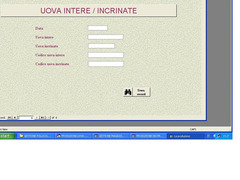 SOFTWARE GESTIONALE  POLLICOLTURA SU PEN DRIVE O PER EMAIL