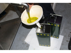 Olio Extravergine di Oliva Nocellara del Belice di Castelvetrano 100% Siciliano