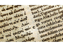 Insegnante di Latino e Greco