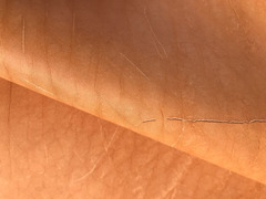 Scampolo cuoio vegetale naturale – Sp. 2,0