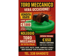 TORO MECCANICO NOLEGGIO PER COMPLEANNI E FESTE