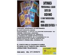 ODINO CARTOMANTE CONSULTI DI CARTOMANZIA A BASSO COSTO