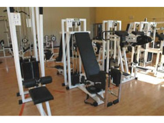 attrezzature da palestra technogym usate
