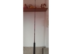 canna e mulinello traina
