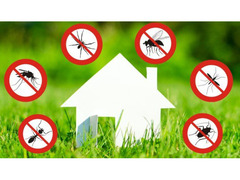 Disinfestazione derattizzazione sanificazione