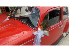Maggiolino Wedding Matrimoni