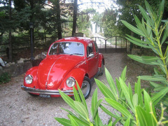 Maggiolino Wedding Matrimoni