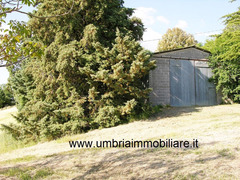 Rif. 108 casale con 4 ettari in Avigliano Umbro
