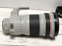 Canon EF 300mm f/2.8 L IS II USM