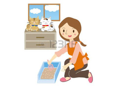 Cat Sitter