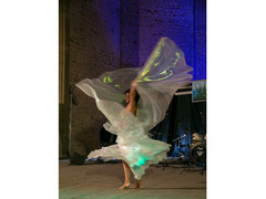 Danza del ventre