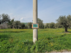 TERRENO EDIFICABILE ROSCIANO