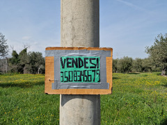 TERRENO EDIFICABILE ROSCIANO