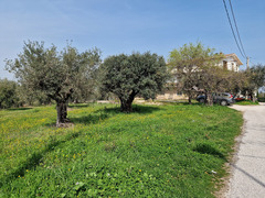 TERRENO EDIFICABILE ROSCIANO