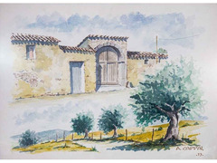 Dipinti ad Olio ed Acquerello.