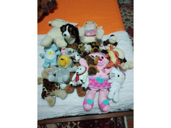 Peluche