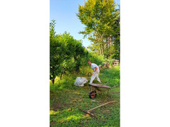 Servizi di giardinaggio