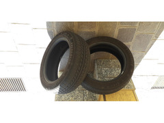 PNEUMATICI EVERGREEN INVERNALI 195 55 R16